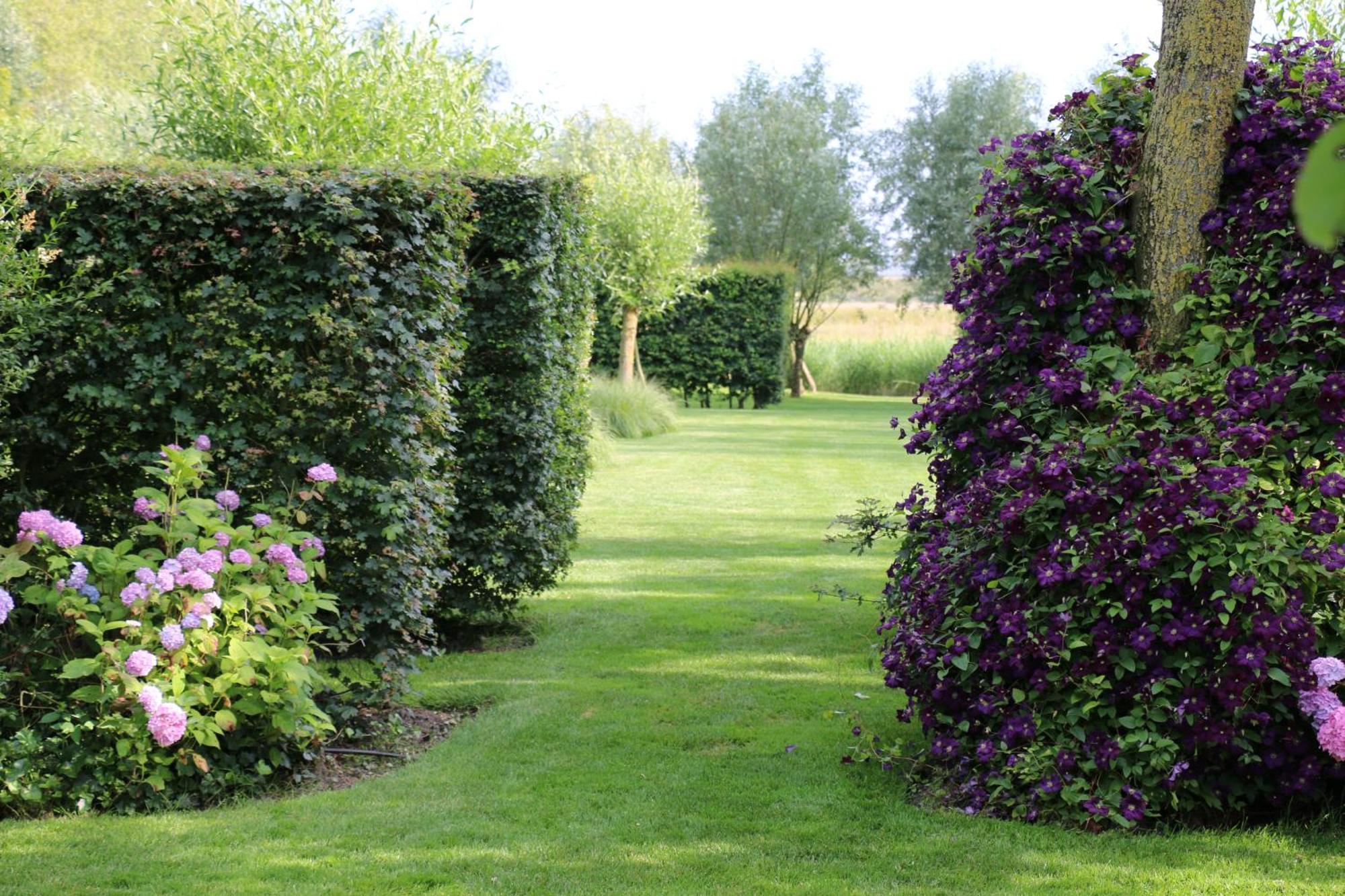 B&B Pronkenburg Brugge Kültér fotó