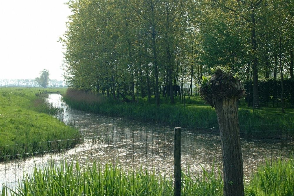 B&B Pronkenburg Brugge Kültér fotó
